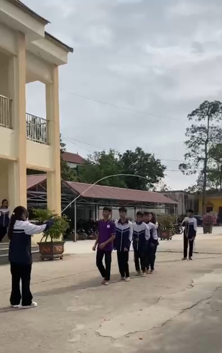 Hoạt động bóng chuyền