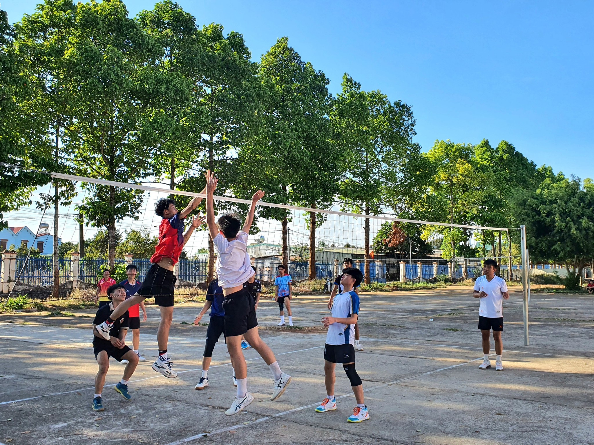 Hoạt động nhảy dây